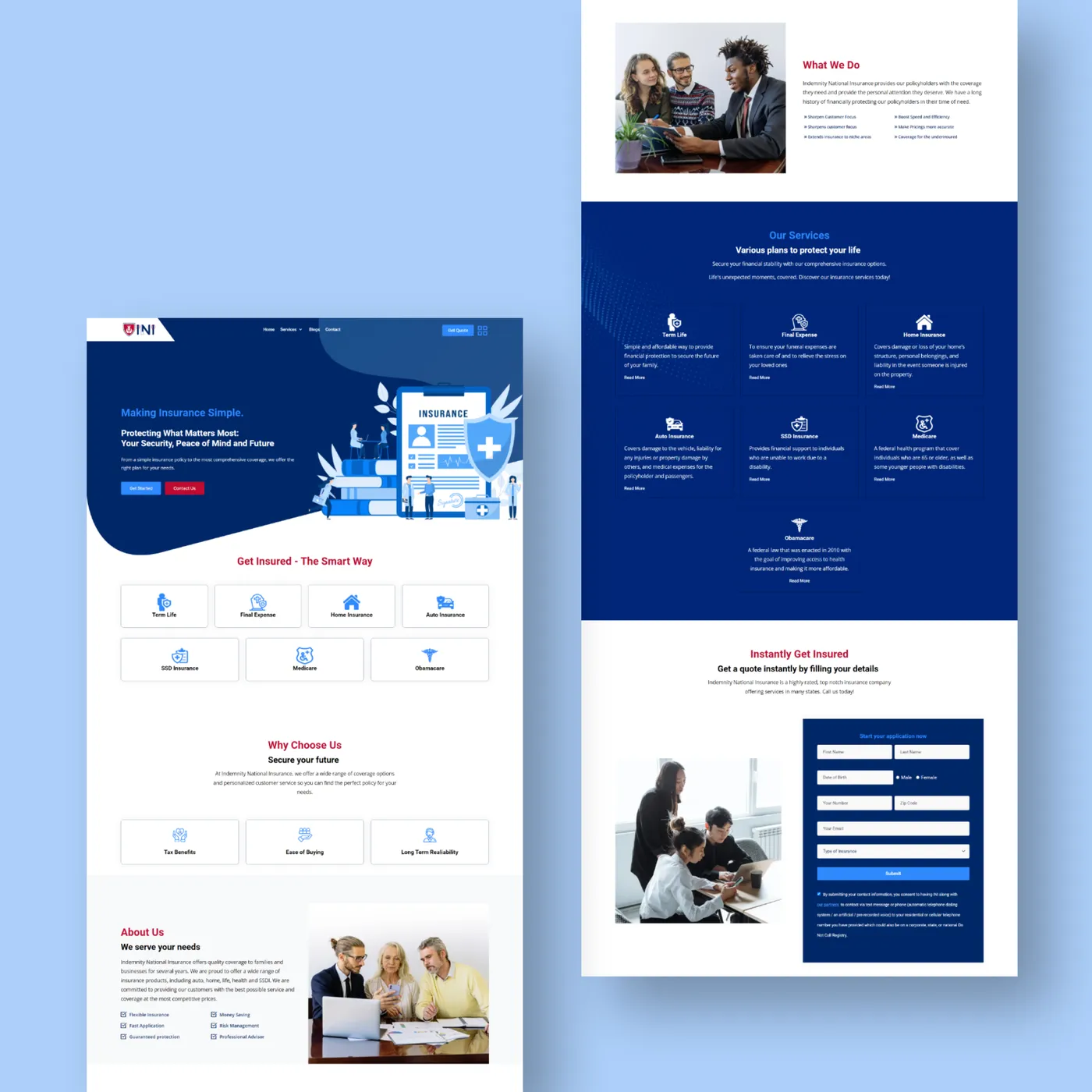 INI Website screenshot 1